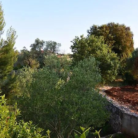 L'ulivo Apartment *
