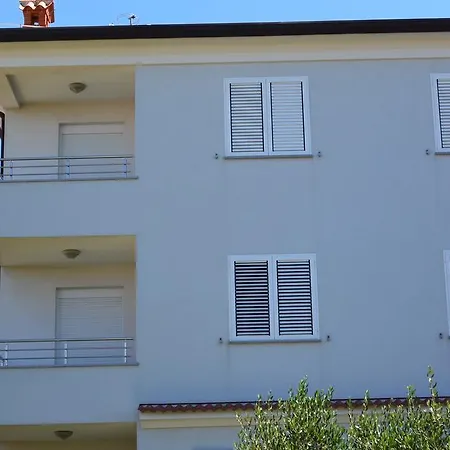L'ulivo