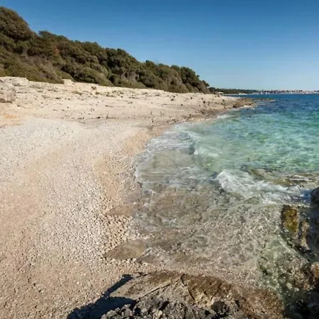 L'ulivo Lejlighed
